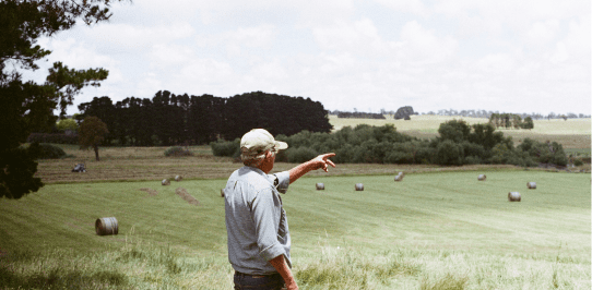 indicating things to do in the Farm