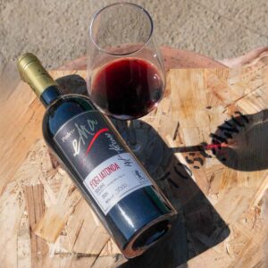 Elegant bottle of red wine with a glass beside it, set on a wooden table.