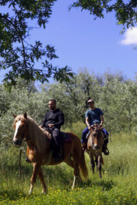 Horseback riding adventure in Chianti countryside