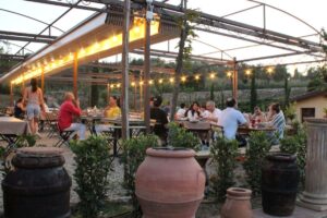 Farm-to-table aperitivo in Tuscany countryside