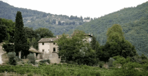 A serene landscape of farms with rolling hills and olive groves under a clear sky, showcasing rural beauty.
