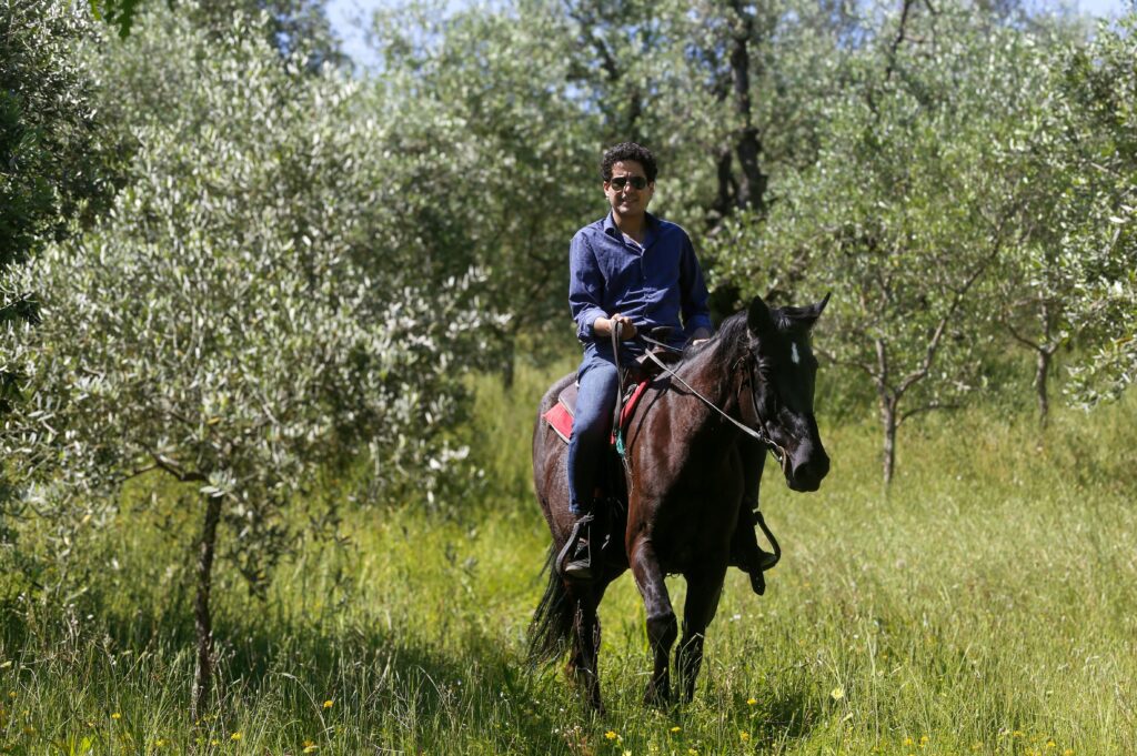 Solo Tuscany Horseback Ride Man riding a dark horse alone through a sunlit olive grove during a Tuscany horseback ride.
