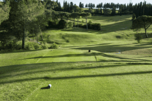 A serene golf course with rolling green hills, sand bunkers, and a red flag marking the 15th hole, surrounded by trees under a clear sky.