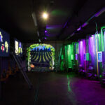 Wine cellar with stainless steel tanks, colorful lighting, and vineyard themed projections