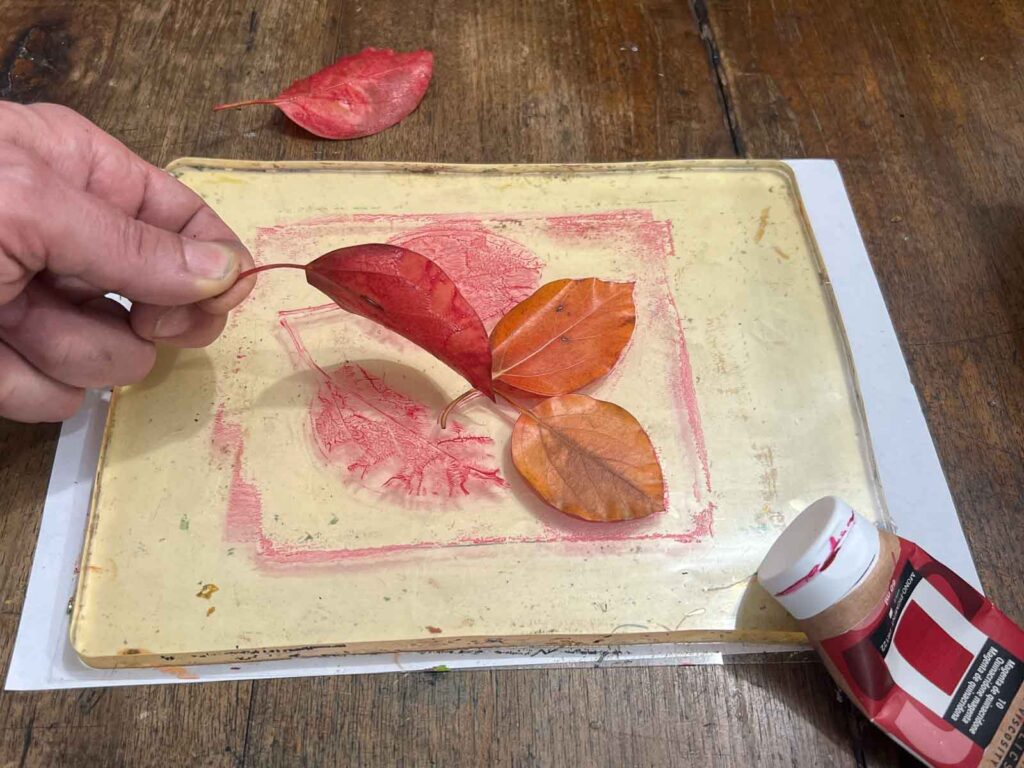 Layering red and orange leaves on the gel plate at a monoprint workshop Florence for children
