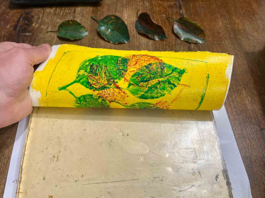 Peeling a finished yellow leaf print from the plate at a monoprint workshop Florence, Fatacadabra
