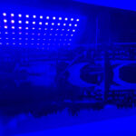 UV lamp exposing a Ponte Vecchio cyanotype print during a photography experience Florence at Fatacadabra