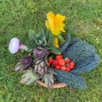 Basket of seasonal vegetables and strawberries from the family estate garden