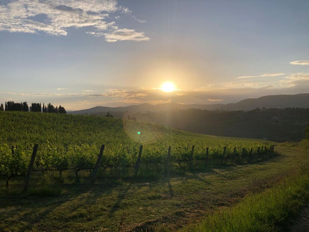 Vineyard rows with panoramic hill views in the Chianti countryside
