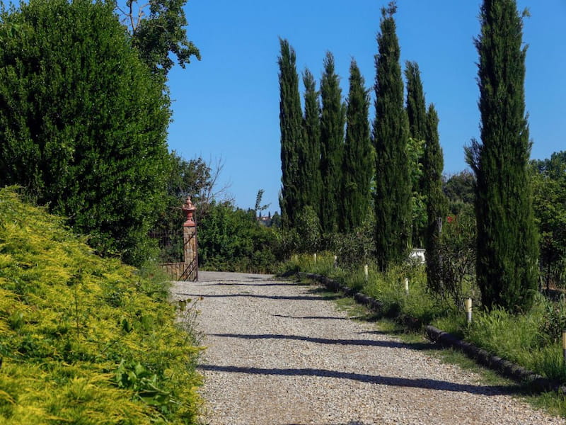 authentic local experiences in Impruneta with Farm in Tuscany
