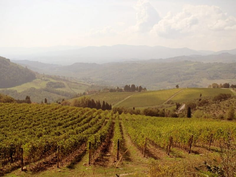authentic local experiences in Pelago with Farm in Tuscany