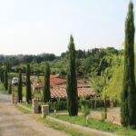 Long cypress-lined driveway leading to Bio e Brado farm with Florentine hills in the background — horse riding Chianti hills
