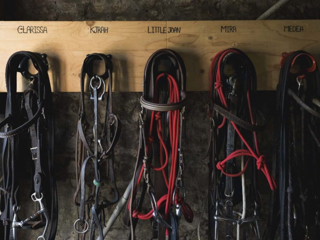 Horse bridles hanging by name in the stable at Bio e Brado — horse riding Chianti hills