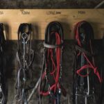 Horse bridles hanging by name in the stable at Bio e Brado — horse riding Chianti hills