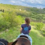 Point of view from horseback on a trail through the Tuscan countryside with cypress trees and green hills near Florence — horseback riding near Florence