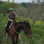 Smiling rider on a brown horse through an olive grove near Florence — horseback riding in Italy