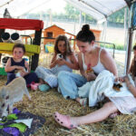 Young girls and a farm guide holding guinea pigs and a chicken on straw, a cooking class with kids Tuscany pairs with farm time.